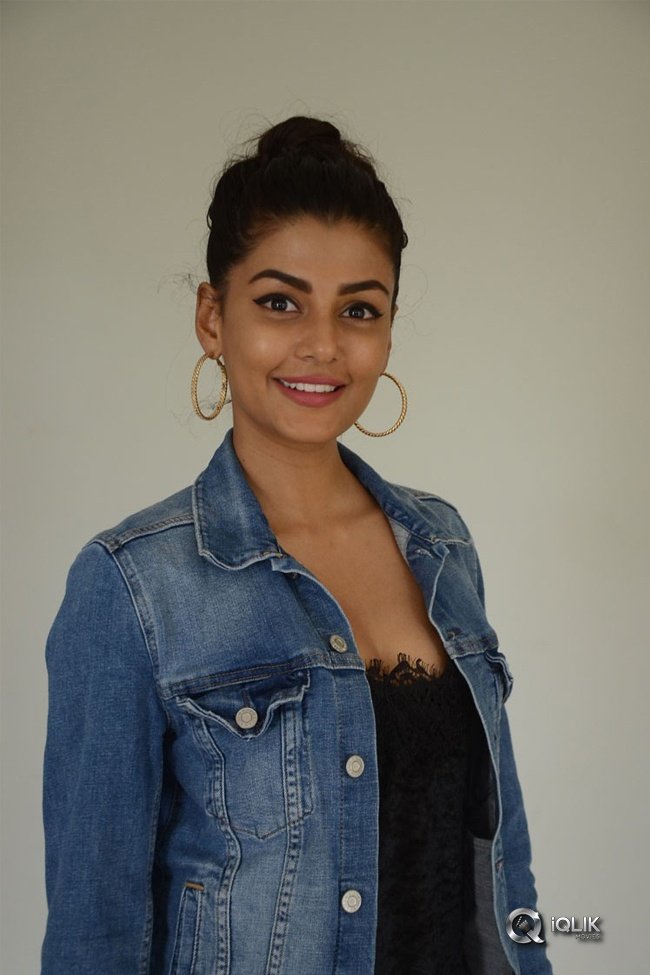 Anisha-Ambrose-at-EE-Nagaraniki-Emaindhi-Pressmeet